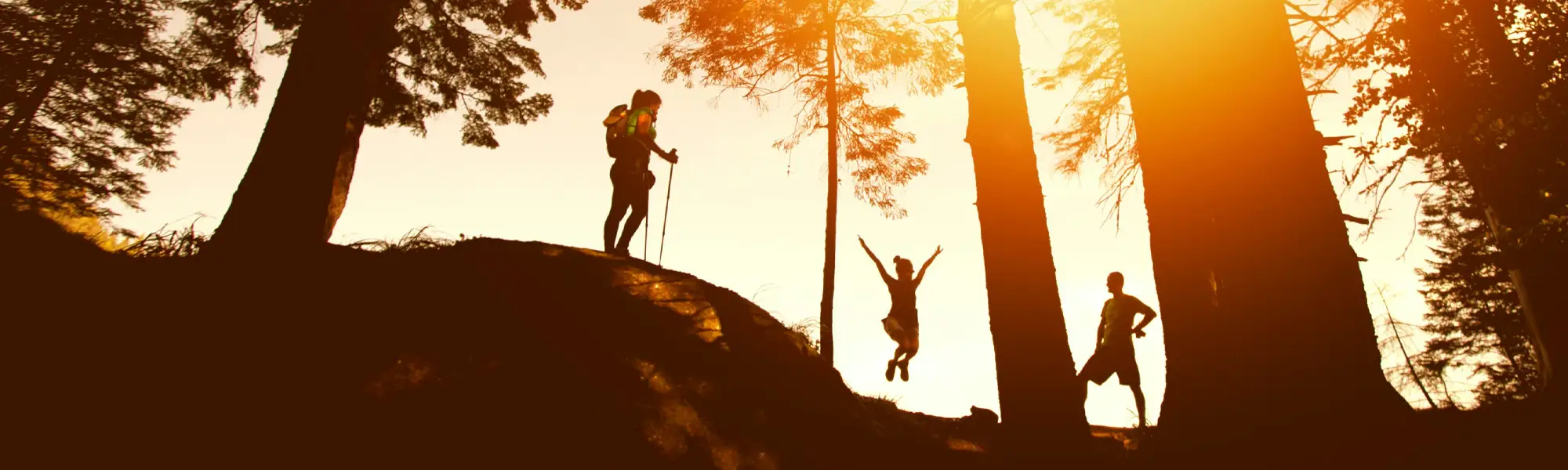 group of people hiking in woods