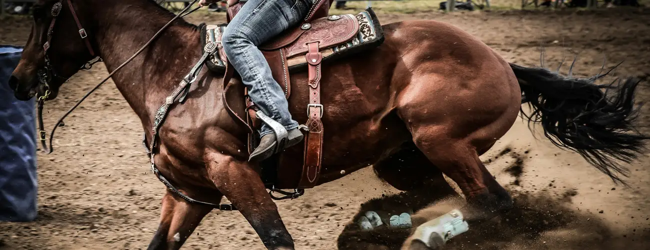 horse riding in rodeo